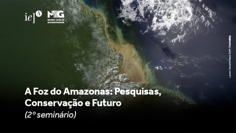 A Foz do Amazonas: Pesquisas, Conservação e Futuro (2º seminário)