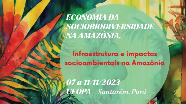 Infraestrutura e impactos socioambientais na Amazônia